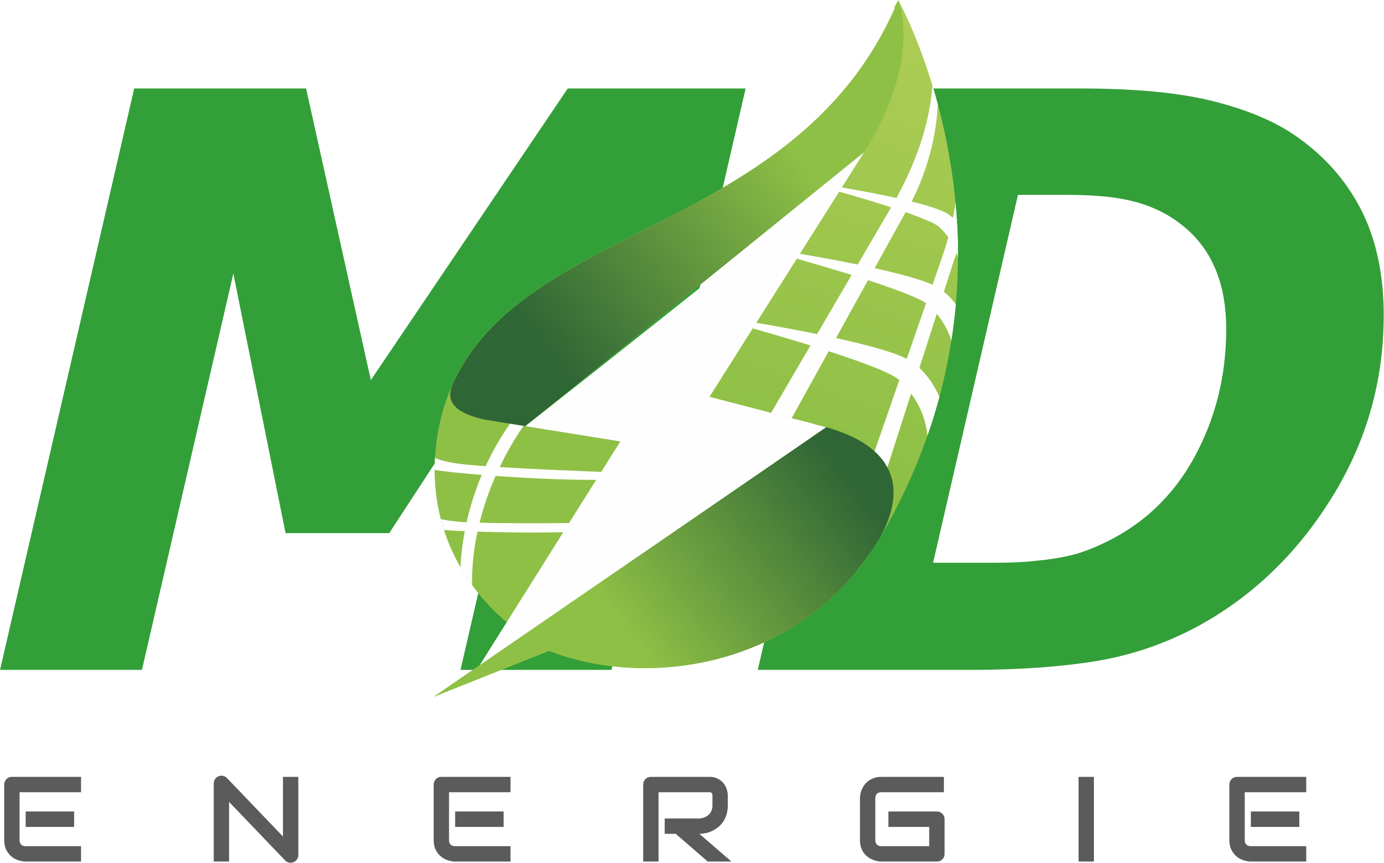 MD Logo1